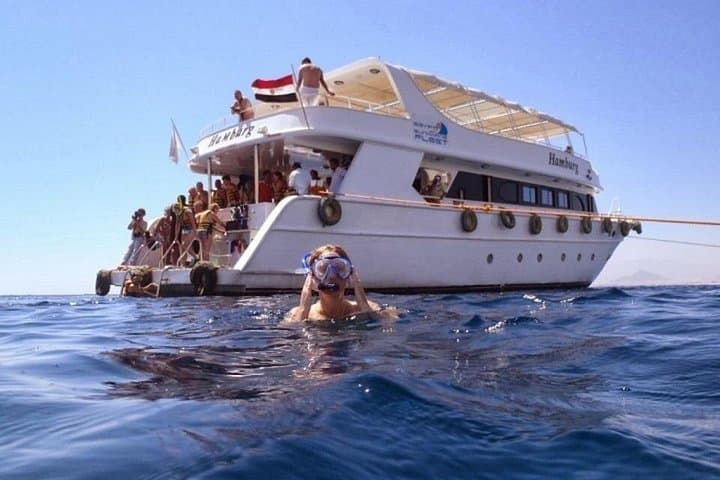 Ras Mohammed Diving Tour from Sharm El Sheikh — Full-Day Red Sea Boat Dive photo 2