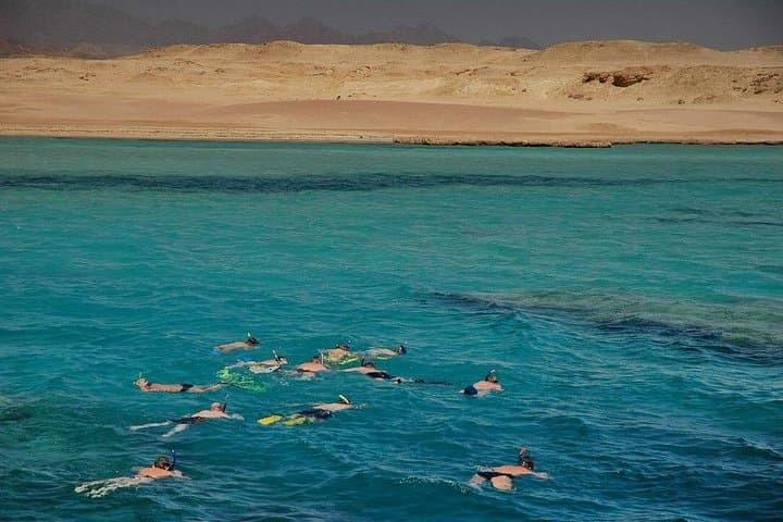 Ras Mohammed Diving Tour from Sharm El Sheikh — Full-Day Red Sea Boat Dive photo 4