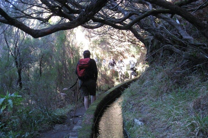 Rabaçal Risco & 25 Fountains: Full-day Levada Walk in Madeira photo 2