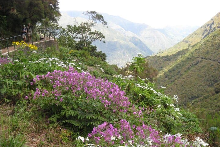 Rabaçal Risco & 25 Fountains: Full-day Levada Walk in Madeira photo 4