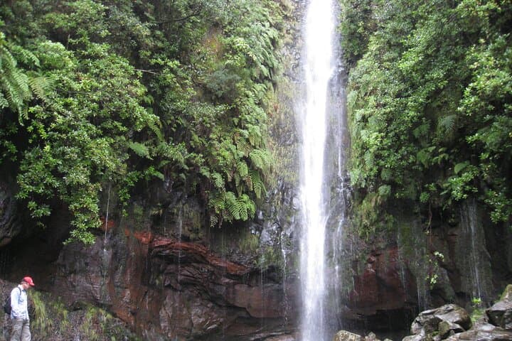 Rabaçal Risco & 25 Fountains: Full-day Levada Walk in Madeira photo 6