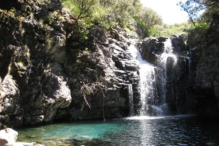Alecrim Levada & Wind Lagoon: Full-Day Walk on Madeira's Western Plateau