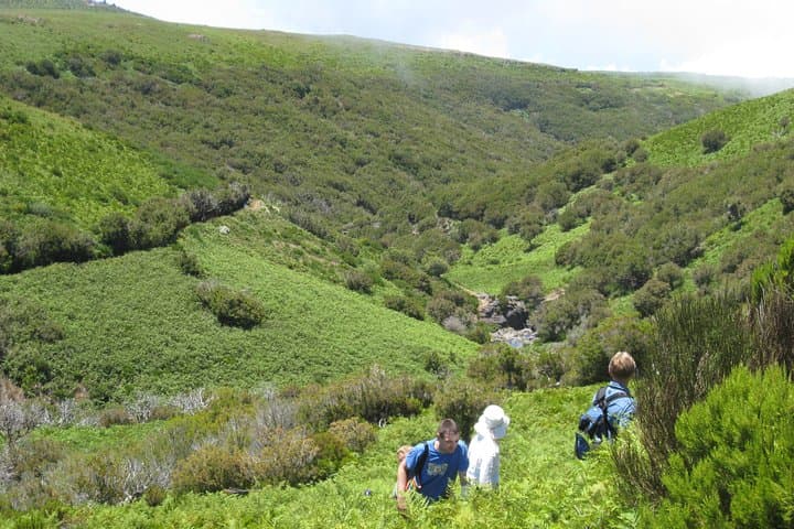 Alecrim Levada & Wind Lagoon: Full-Day Walk on Madeira's Western Plateau photo 2