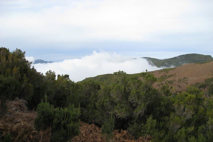 Alecrim Levada & Wind Lagoon: Full-Day Walk on Madeira's Western Plateau photo 3