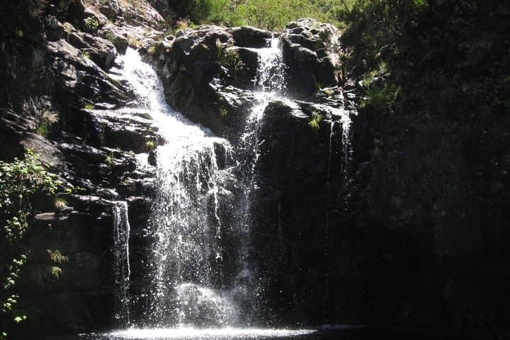Alecrim Levada & Wind Lagoon: Full-Day Walk on Madeira's Western Plateau photo 5