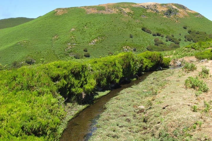 Alecrim Levada & Wind Lagoon: Full-Day Walk on Madeira's Western Plateau photo 6
