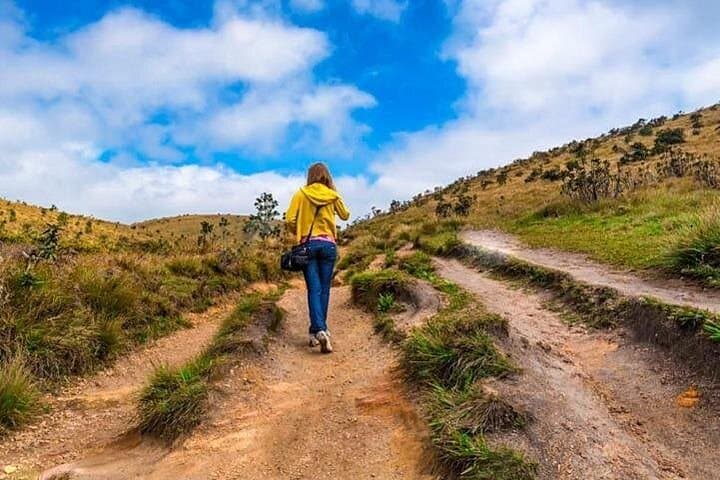 Dawn Trek on Horton Plains: Private Guided Trek to World's End & Baker's Falls photo 3
