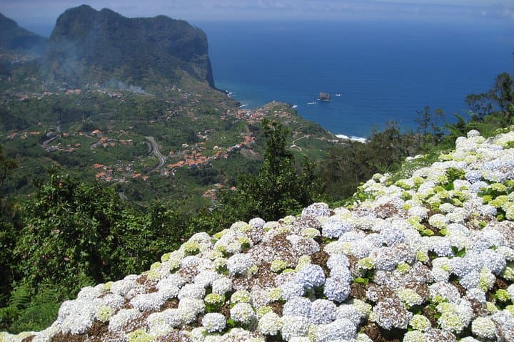 Referta to Castelejo: 2-Hour North Coast Hike on Madeira