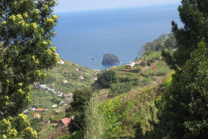 Referta to Castelejo: 2-Hour North Coast Hike on Madeira photo 3