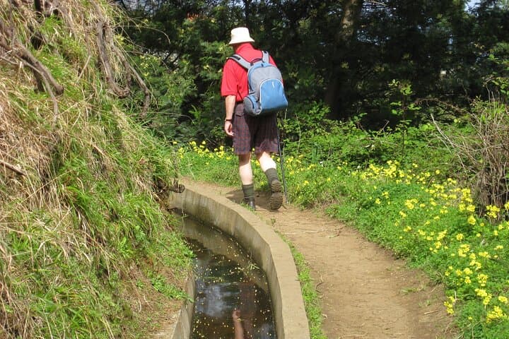 Referta to Castelejo: 2-Hour North Coast Hike on Madeira photo 4