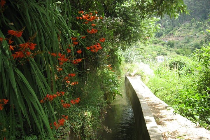 Serra D'Água Valley Guided Walk: Levada Trails & Island Views photo 2