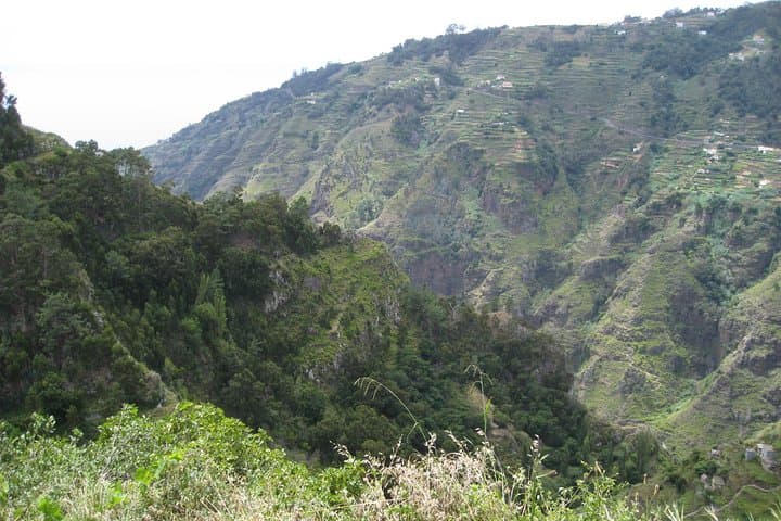Serra D'Água Valley Guided Walk: Levada Trails & Island Views photo 3