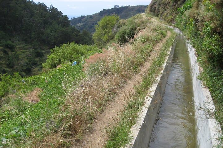 Serra D'Água Valley Guided Walk: Levada Trails & Island Views photo 4