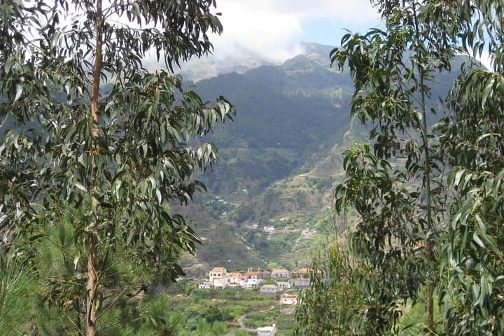 Serra D'Água Valley Guided Walk: Levada Trails & Island Views photo 5