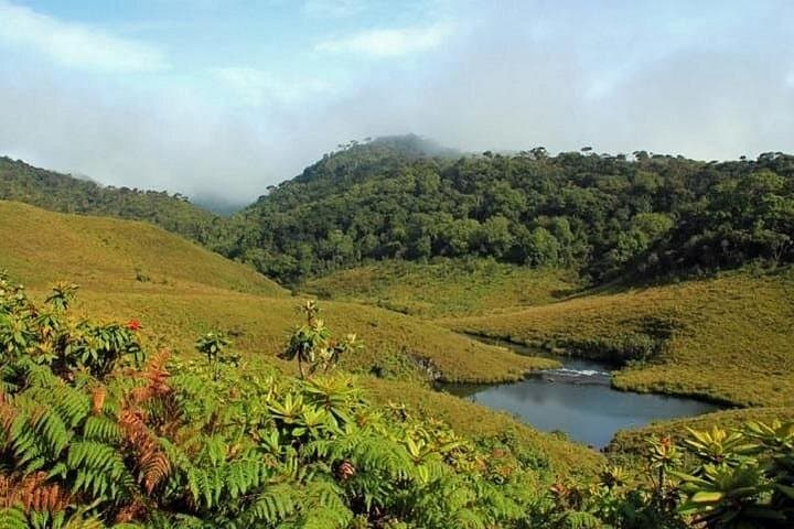 Dawn Trek on Horton Plains: Private Guided Trek to World's End & Baker's Falls photo 4