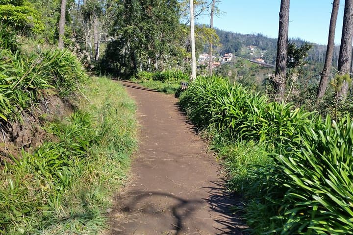 Paradise Valley Half-Day Walking Tour in Madeira: Camacha Views & Levadas photo 2