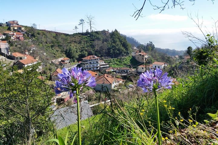 Paradise Valley Half-Day Walking Tour in Madeira: Camacha Views & Levadas photo 4