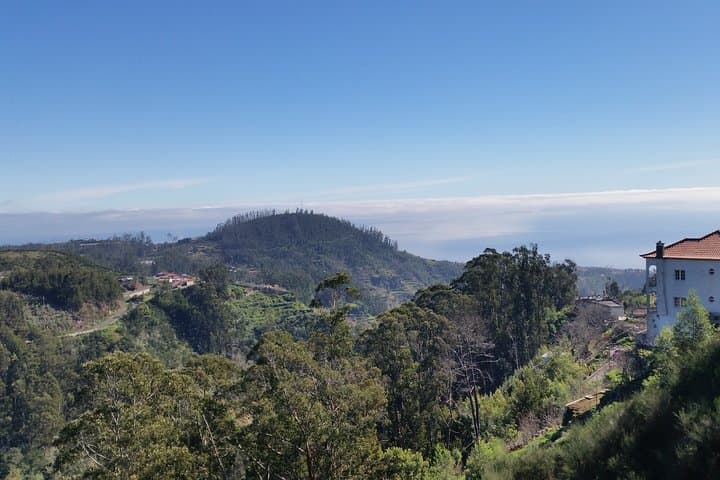 Paradise Valley Half-Day Walking Tour in Madeira: Camacha Views & Levadas