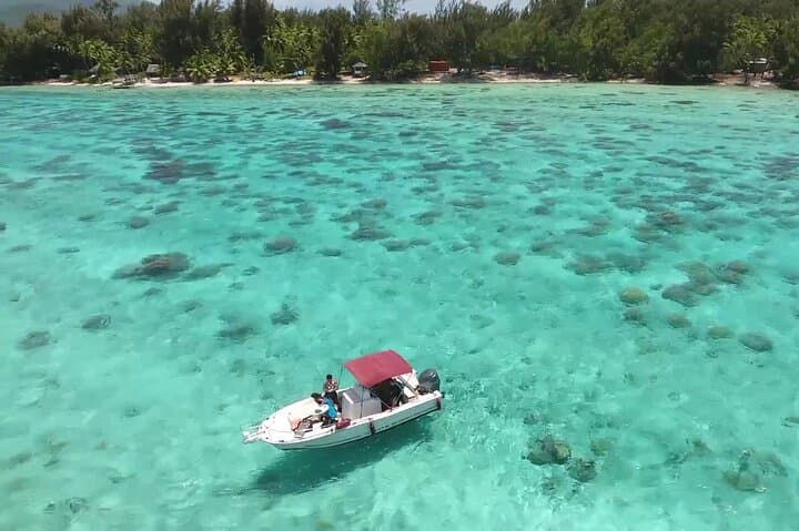Private Bora Bora Lagoon Cruise and Water Lunch — Snorkel with Rays & Private Islet Barbecue photo 2