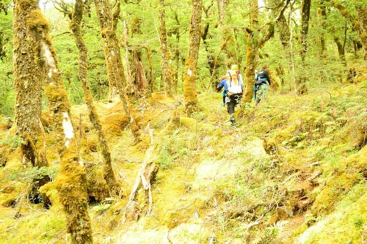 Mt Aspiring Full-Day Canyoning Adventure from Queenstown or Wanaka photo 3