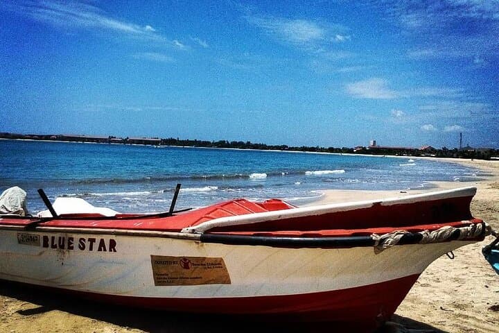Pasikudah 3-Day Beach and Whale-Watching Tour from Kandy photo 2