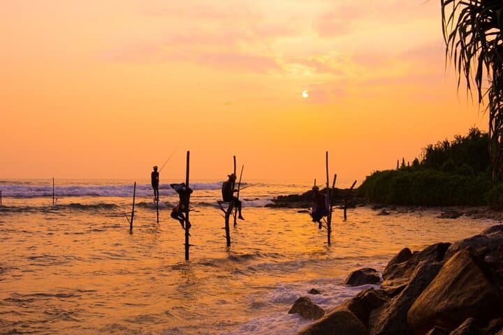 Pasikudah 3-Day Beach and Whale-Watching Tour from Kandy photo 3