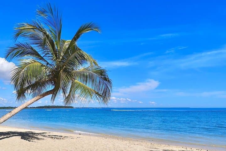 Pasikudah 3-Day Beach and Whale-Watching Tour from Kandy photo 4