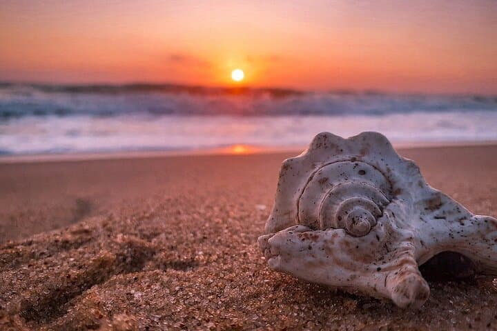 Pasikudah 3-Day Beach and Whale-Watching Tour from Kandy photo 5