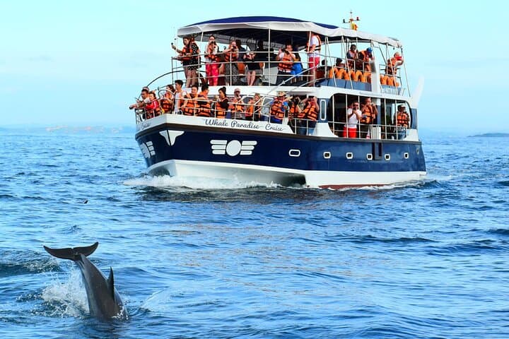 Highlights of Sri Lanka: Mirissa Whales, Sigiriya Climb & Kandy Cultural Tour photo 2