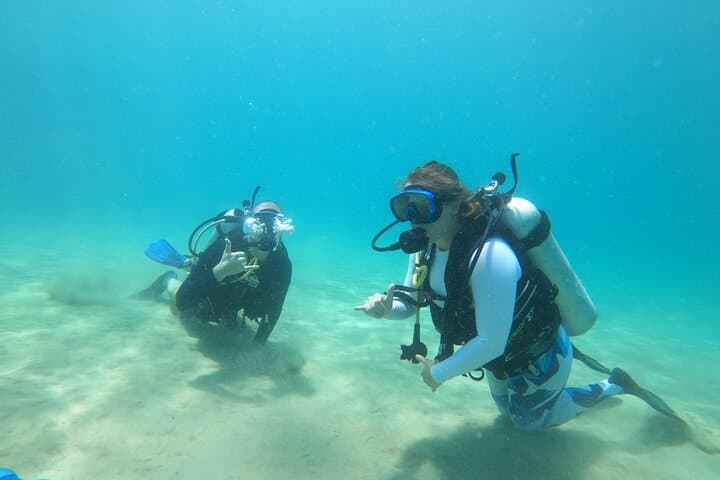 Beginner Scuba Diving in Rincón: Private Guided Reef Dives for First-Timers photo 4