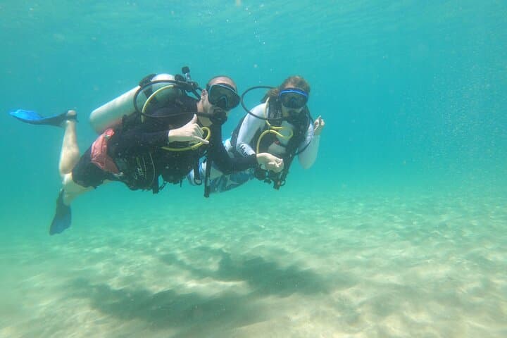 Beginner Scuba Diving in Rincón: Private Guided Reef Dives for First-Timers photo 6