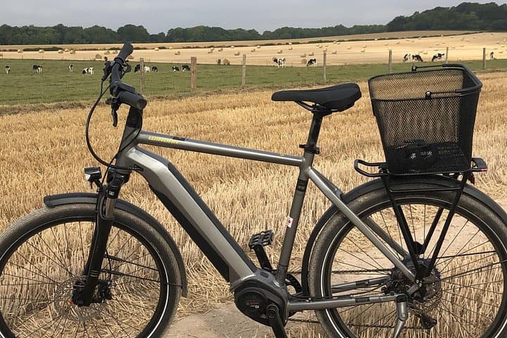 E-Bike Tours Around Heidelberg: Neckar Valley & Odenwald Countryside Ride photo 4