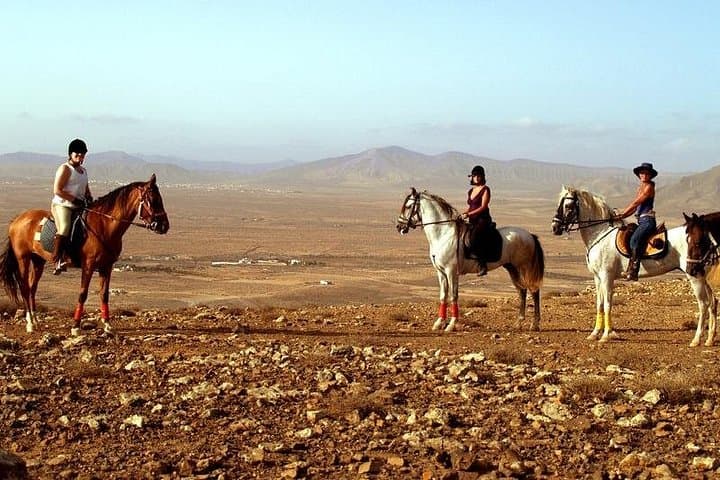 Ride the Ravines: 90-Minute Horseback Tour in Fuerteventura