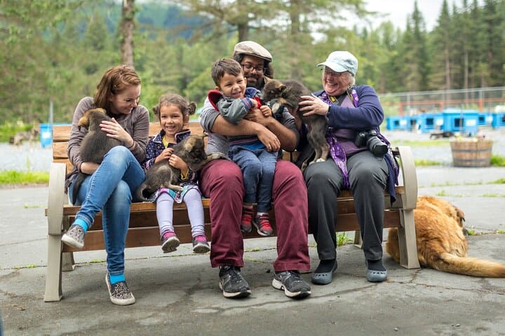 Behind the Gangline: Turning Heads Kennel Dogsledding Experience in Seward photo 2