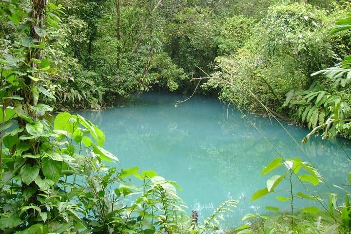 Rio Celeste Waterfall Hike from La Fortuna: Tenorio's Turquoise Wonder photo 2