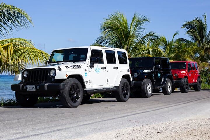 Cozumel Combo: Private Jeep Island Drive & Guided Reef Snorkel