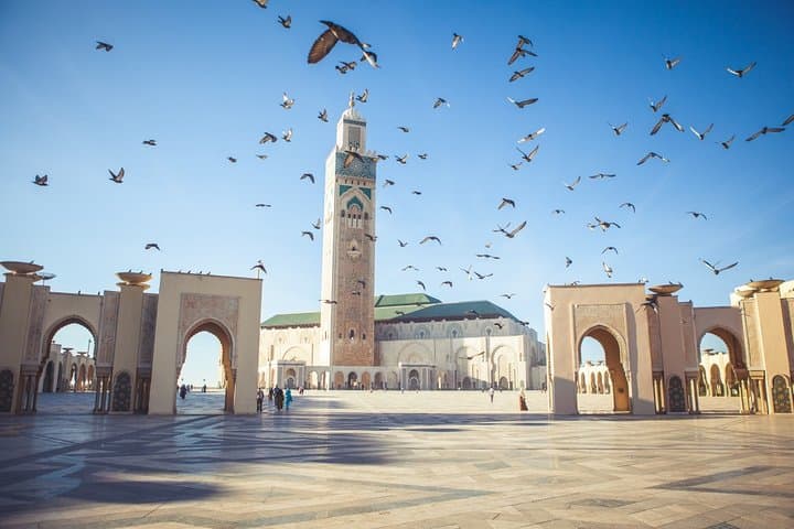 Casablanca City Tour: Hassan II Mosque, Rick's Café & Old Medina photo 1