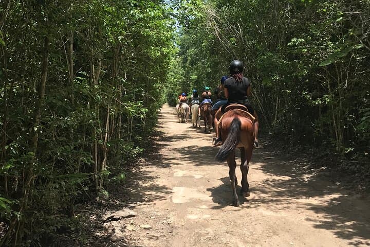 Jungle Combo Near Cancun: Horseback, ATV, Cenote Swim & Ziplines photo 6
