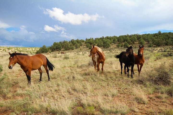 Sedona Private Custom Tour: Day Trip to Sedona & Montezuma Castle from Phoenix photo 5