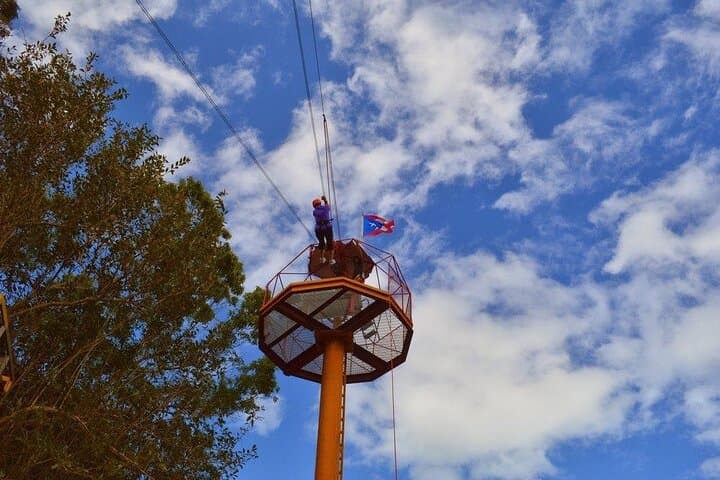 El Yunque Canopy Zipline Adventure: Zip Through Puerto Rico’s Rainforest Canopy photo 4