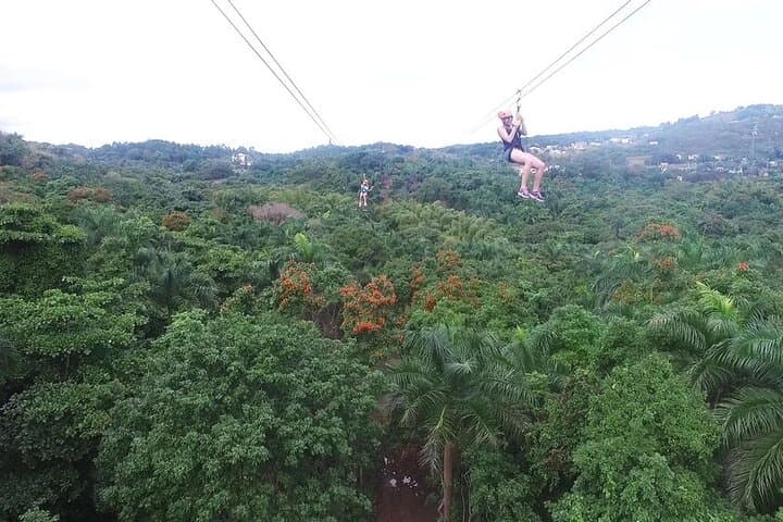 El Yunque Canopy Zipline Adventure: Zip Through Puerto Rico’s Rainforest Canopy photo 5