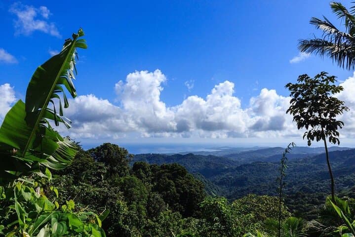 El Yunque Canopy Zipline Adventure: Zip Through Puerto Rico’s Rainforest Canopy photo 6