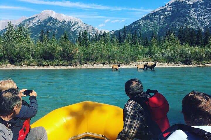 VIP Rocky Mountain Private Raft: Guided Bow River Float from Canmore photo 2