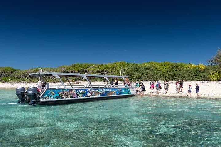 Explore Lady Musgrave Island: A Full-Day Snorkeling Adventure from Bundaberg photo 4