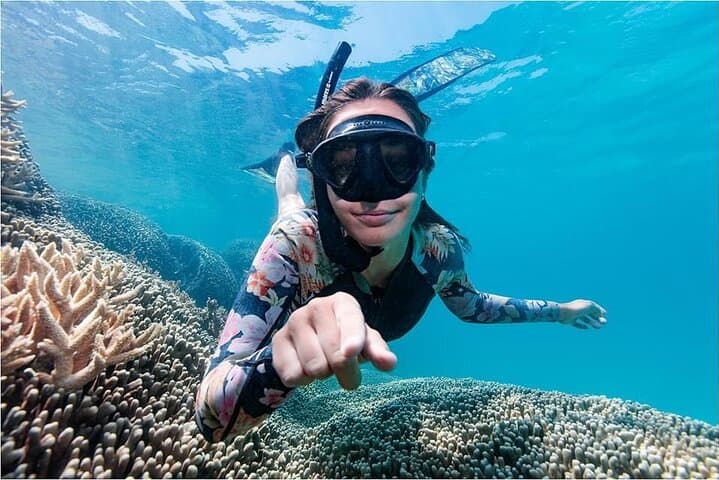 Explore Lady Musgrave Island: A Full-Day Snorkeling Adventure from Bundaberg photo 6