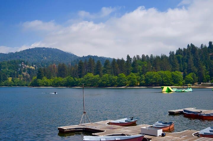 3-Day Kandy to Nuwara Eliya: Temple of the Tooth, Tea Estates & Botanical Gardens photo 3