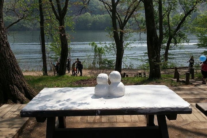 Nami Island & Petite France Day Trip from Seoul: Private Private Tour Guide and Tips photo 3