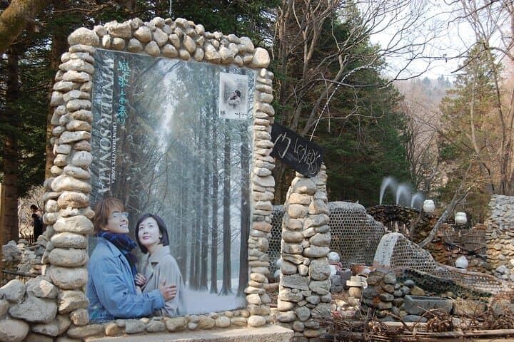 Nami Island & Petite France Day Trip from Seoul: Private Private Tour Guide and Tips photo 5