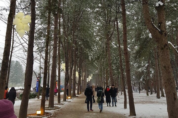 Seoul Day Trip: Ski Gangchon Elysian & Nami Island Ferry photo 5