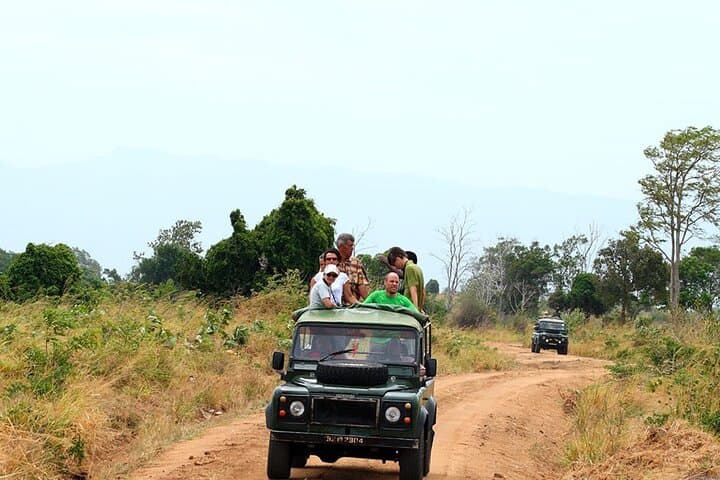 Udawalawe Safari: Full-Day Elephant Safari from Hambantota photo 4